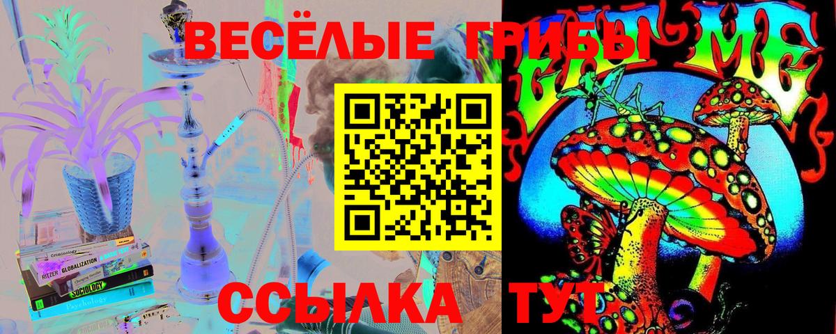 купить наркотики сайты  Вход с VPN  Барабинск  Галлюциногенные грибы прущие грибы 